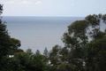 Property photo of 17 Cokeworks Road Coledale NSW 2515