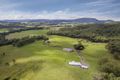 Property photo of 308 Mill Creek Road Stroud NSW 2425