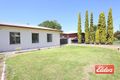 Property photo of 31 Jubilee Avenue Angaston SA 5353