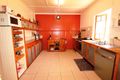 Property photo of 49 Carr Street Hermit Park QLD 4812