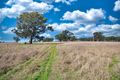 Property photo of 112 Glen Alice Road Rylstone NSW 2849