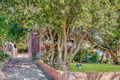 Property photo of 17 Finlays Avenue Earlwood NSW 2206