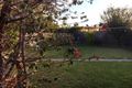 Property photo of 51 George Street Preston VIC 3072