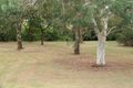 Property photo of 5/31 The Glen Road Bardwell Valley NSW 2207