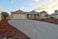 Property photo of 10 Affleck Court Berri SA 5343