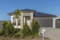 Property photo of 10 Frederick Circuit Eli Waters QLD 4655