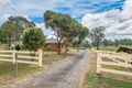 Property photo of 38 Maison Dieu Road McDougalls Hill NSW 2330
