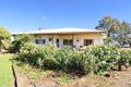 Property photo of 172 Dumosa Street Red Cliffs VIC 3496