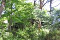 Property photo of 16 Macmaster Parade Macmasters Beach NSW 2251