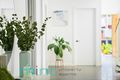 Property photo of 6 Windsor Avenue Croydon Park NSW 2133