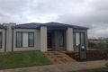 Property photo of 11 Hollaway Drive Mernda VIC 3754