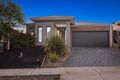 Property photo of 12 Clyde Road Mernda VIC 3754