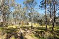 Property photo of 50 Fryers Street Guildford VIC 3451