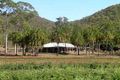 Property photo of 120 Higginsons Road Tungamull QLD 4702