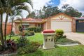 Property photo of 8 Hibertia Avenue Elanora QLD 4221