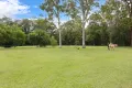 Property photo of 14 Willawong Crescent Nerang QLD 4211
