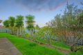 Property photo of 6 Ulrich Street Upper Coomera QLD 4209