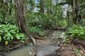 Property photo of 59 Golden Valley Road Tallebudgera Valley QLD 4228