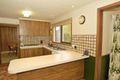Property photo of 41 Halls Parade Vermont VIC 3133