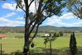 Property photo of 1731 Mount View Road Millfield NSW 2325