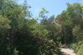 Property photo of 6/39-43 Milson Road Cremorne Point NSW 2090