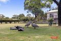 Property photo of 72 Graydens Road Ventnor VIC 3922