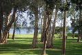 Property photo of 60 Liamena Avenue San Remo NSW 2262