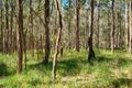 Property photo of 168 Bloomfield Road Jilliby NSW 2259