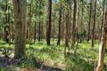 Property photo of 168 Bloomfield Road Jilliby NSW 2259