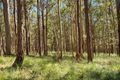 Property photo of 168 Bloomfield Road Jilliby NSW 2259