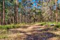 Property photo of 168 Bloomfield Road Jilliby NSW 2259