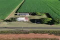 Property photo of 85 Morten Jensen South Kolan QLD 4670