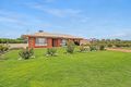 Property photo of 26 Warrego Street Renmark North SA 5341