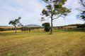 Property photo of 67 Campbells Run Berry NSW 2535