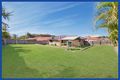 Property photo of 59 Linaria Circuit Drewvale QLD 4116