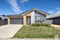 Property photo of 15 Lugano Avenue Alfredton VIC 3350