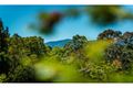 Property photo of LOT 6 Ironbark Place Bellingen NSW 2454