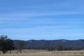 Property photo of 53 Barraba Lane Quorrobolong NSW 2325