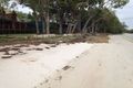 Property photo of 67 Coast Road Macleay Island QLD 4184