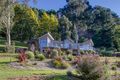 Property photo of 22 William Road The Patch VIC 3792