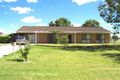 Property photo of 9 Jacaranda Drive Moree NSW 2400