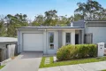 Property photo of 46 Sandover Circuit Holmview QLD 4207