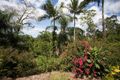 Property photo of 3490 Mirani-Mount Ossa Road Mount Ossa QLD 4741