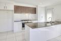 Property photo of 41 Orb Street Yarrabilba QLD 4207