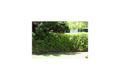 Property photo of 40 Dixon Street Fairy Meadow NSW 2519