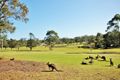 Property photo of 75 Paradise Beach Road Sanctuary Point NSW 2540