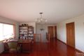 Property photo of 1 Banksia Street Eastwood NSW 2122