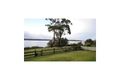 Property photo of 73 Orama Crescent Orient Point NSW 2540