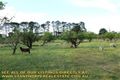 Property photo of 51 Parkers Lane Thulimbah QLD 4376