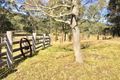 Property photo of 77 Cagney Road Laguna NSW 2325